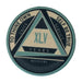 AA Yearly Poker Chip BLUE